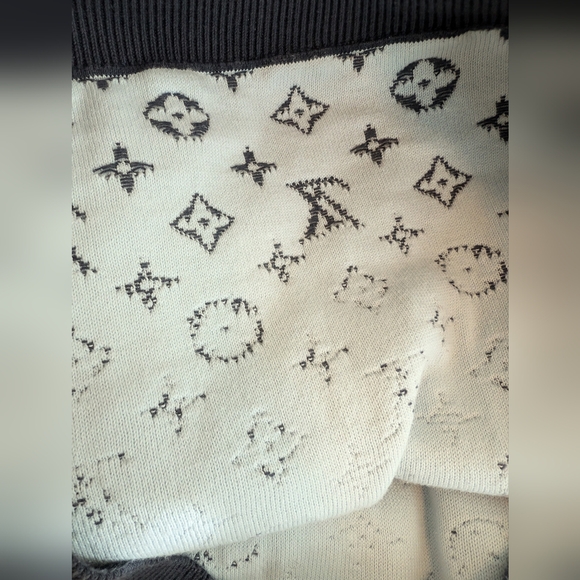 Louis Vuitton degraded monogram gradient hoodie - Picture 4 of 9